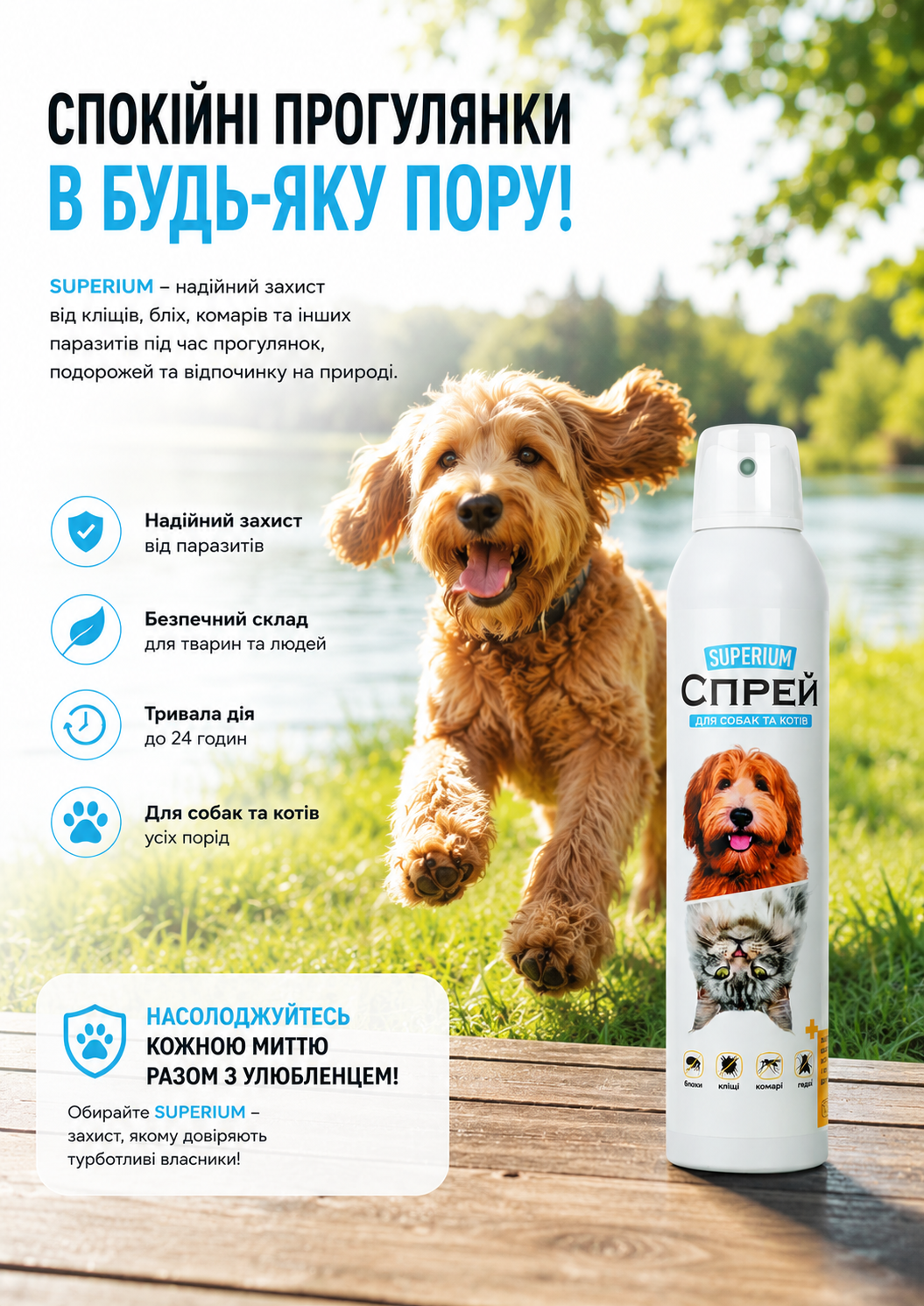 Портрет человека